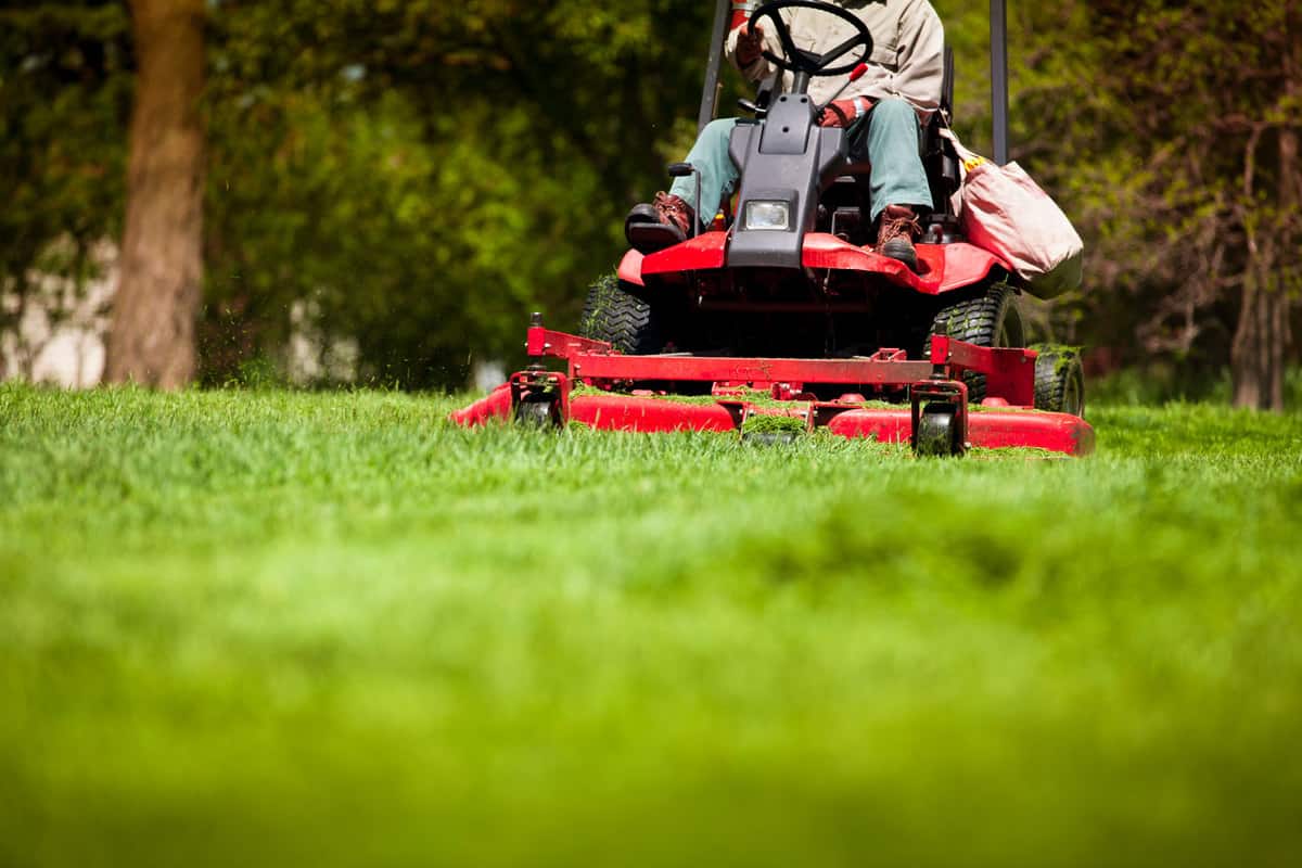 Man riding on his red colored lawn mower