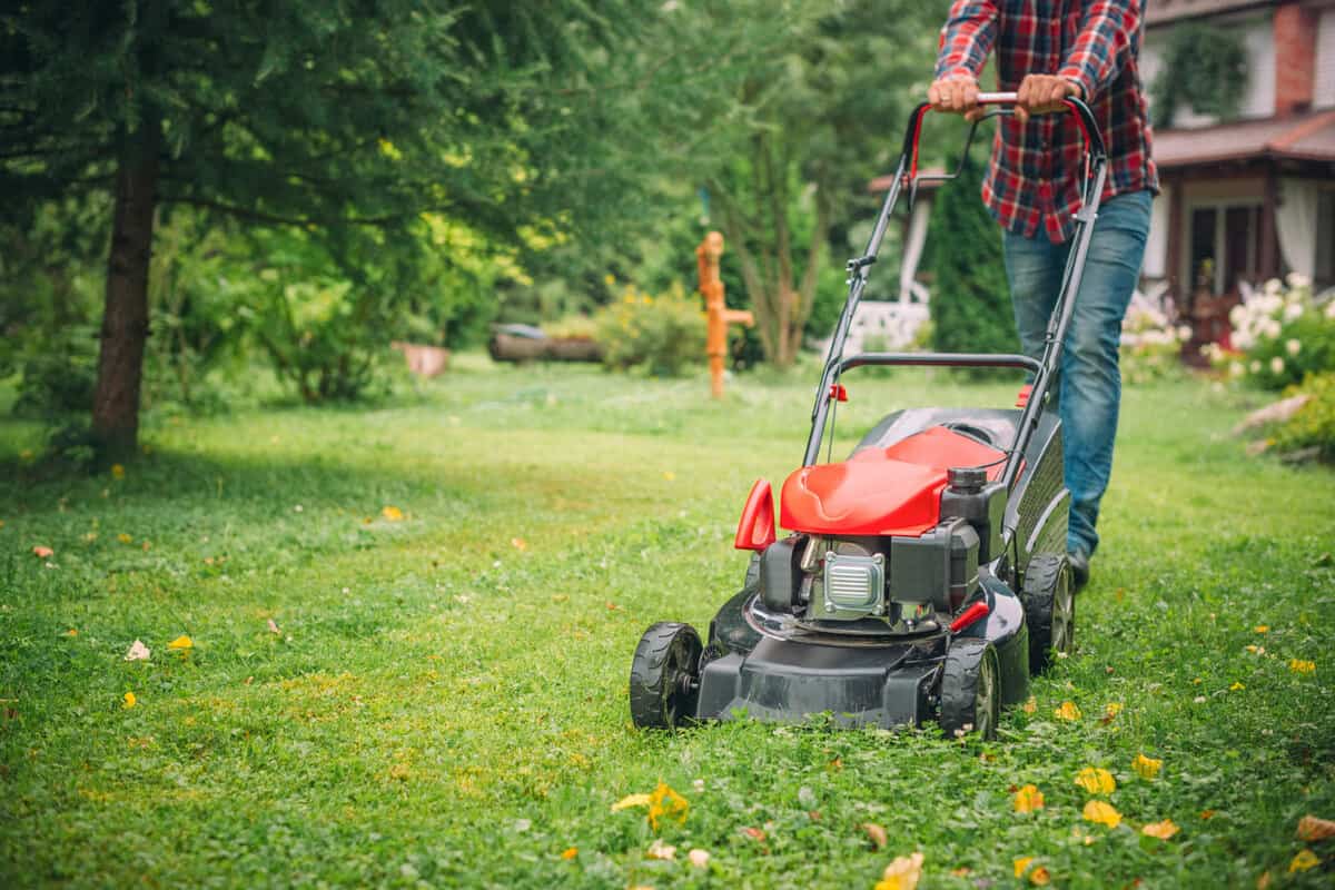 Man using lawn mower for his lawn