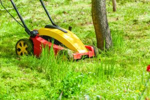 Mowing a lawn in a green meadow, Can I Leave My Lawn Mower Outside In The Rain?