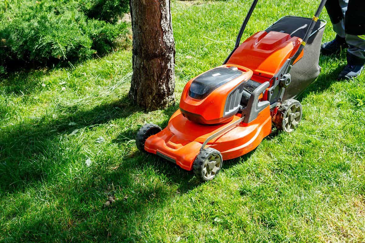 Orange lawn mower on wheels on green fresh grass