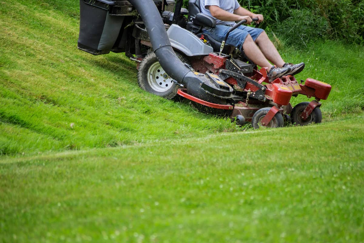 Red Lawn mower cutting gardening grass process of lawn mowing