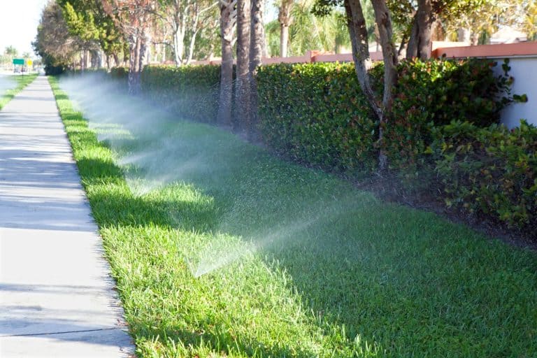 Turning on the sprinklers for the gardens on the side, How To Mark Sprinkler Heads And Lines