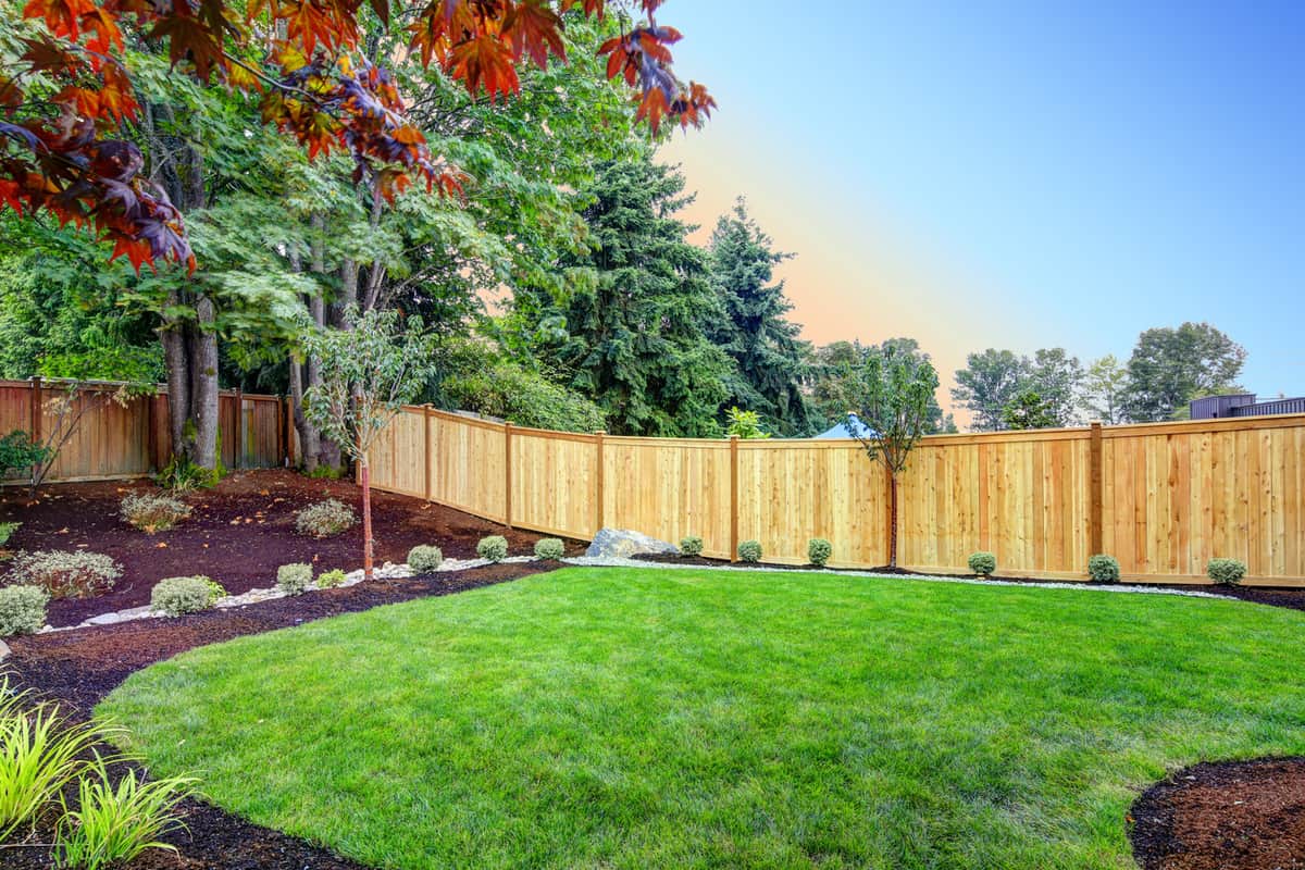 View of an attractive backyard with new planting beds and well kept lawn