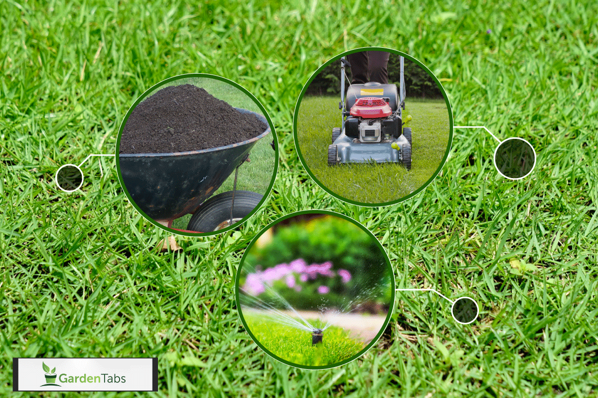 Lawn, Agricultural Field, Front or Back Yard, Meadow, Grounds, How To Make Bermuda Grass Dark Green [5 Helpful Tips]