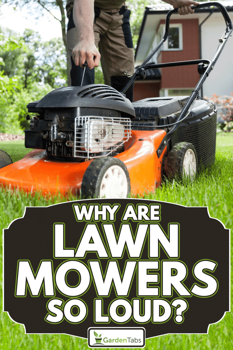 Turning on the lawn mower by gardener, Why Are Lawn Mowers So Loud?
