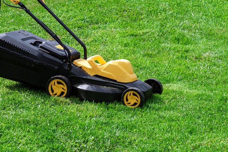 electric grass mower trimming green lawn, Mowing The Lawn On A Sunday - Is That Ok Or Not?