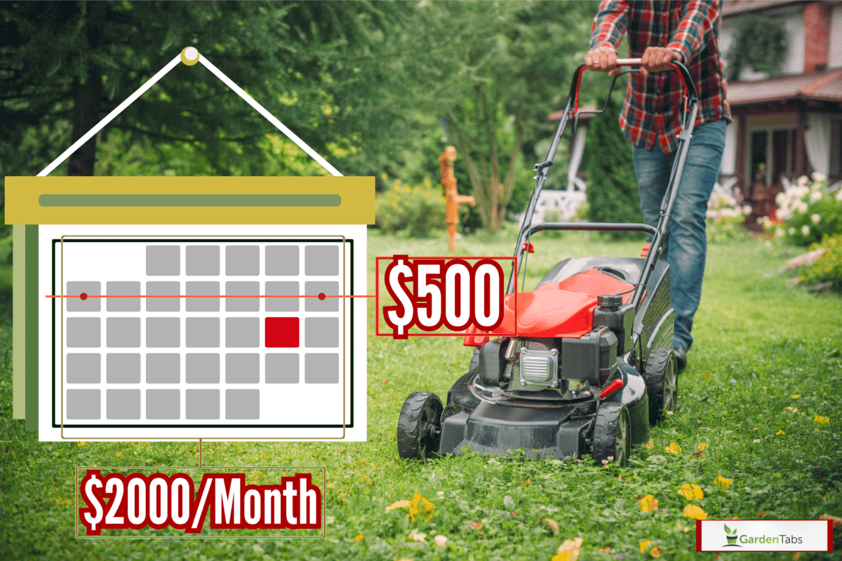 How Much Does It Cost To Rent A Lawn Mower? [Is Buying One Cheaper?]