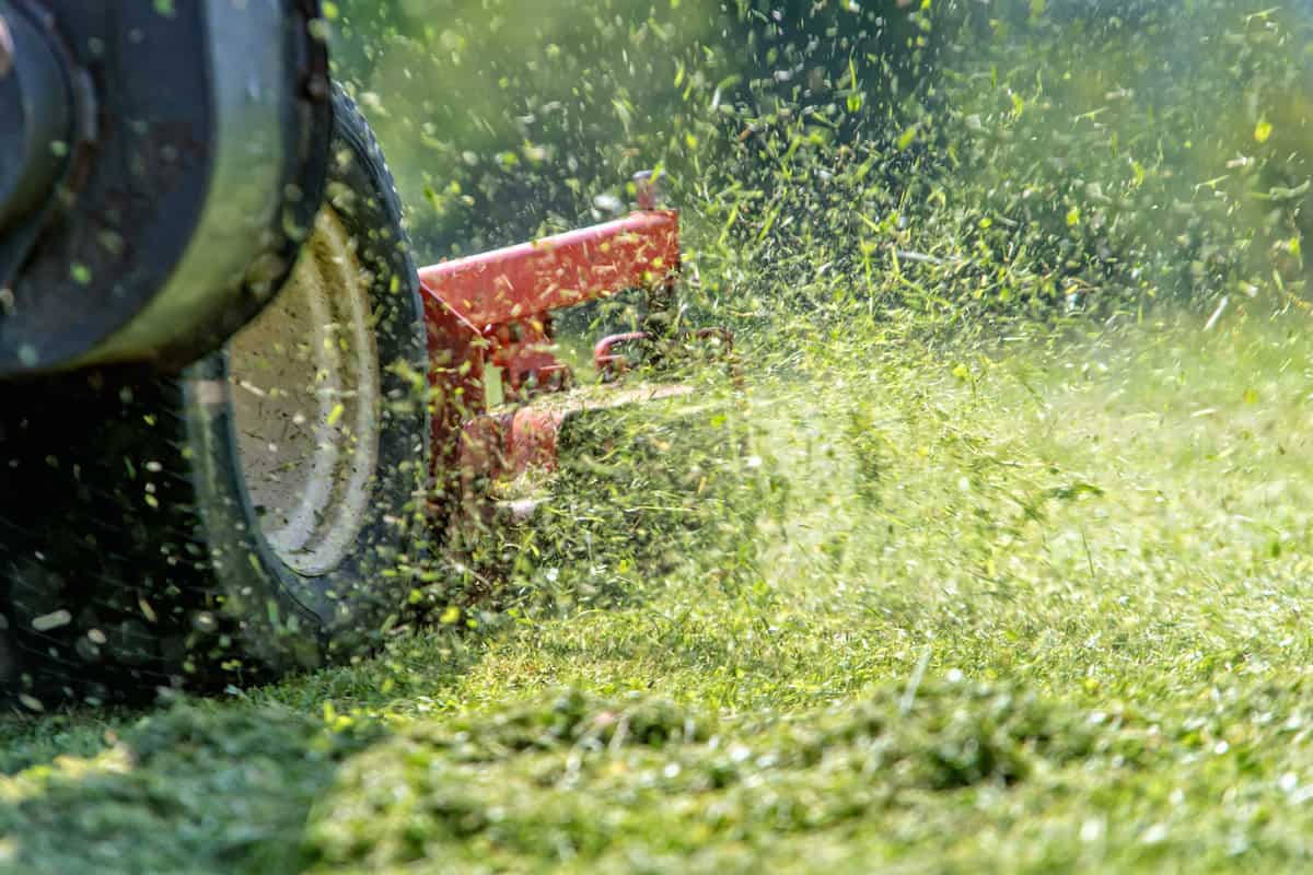 lawnmower at work cutting gardening grass