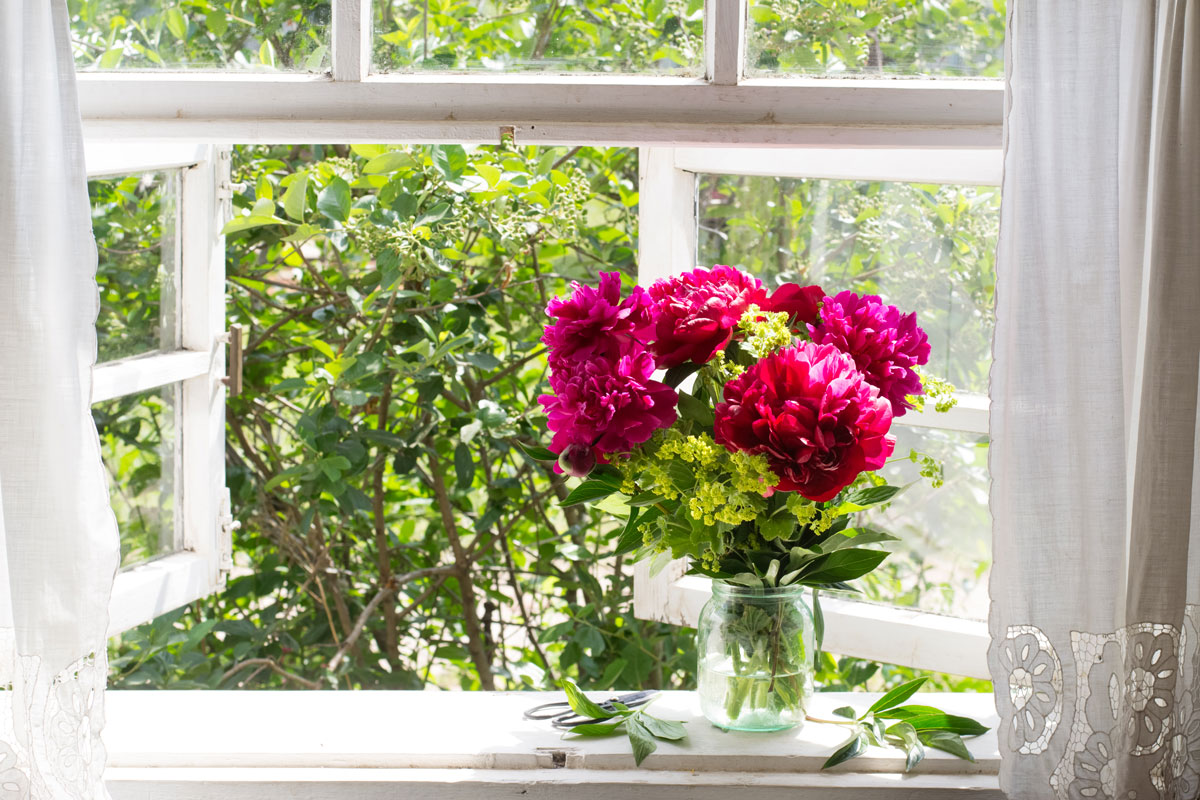 Bouquet of peonies on the windowsill