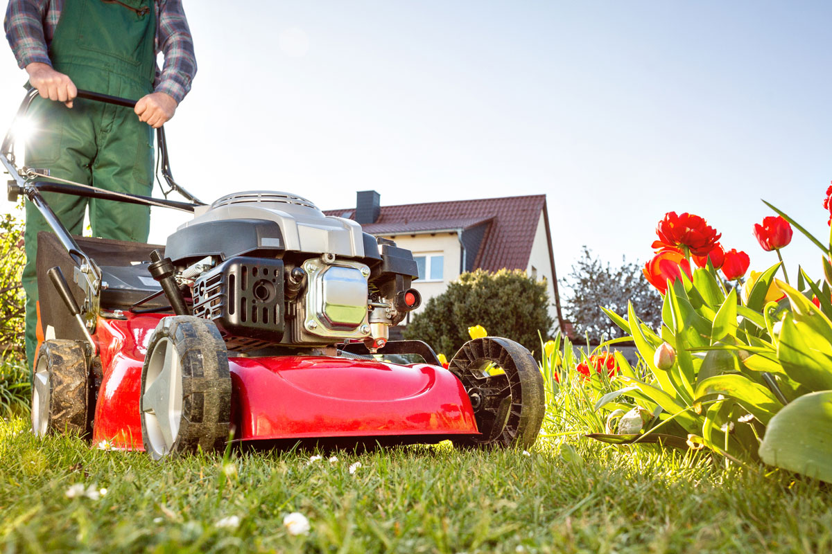 Lawn mower in a sunny garden at spring time operated by a gardener