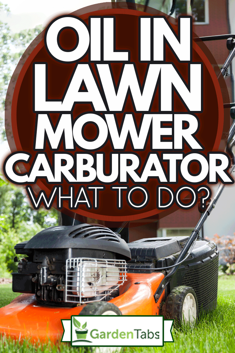 Turning on the lawn mower by gardener, Oil In Lawn Mower Carburetor - What To Do?