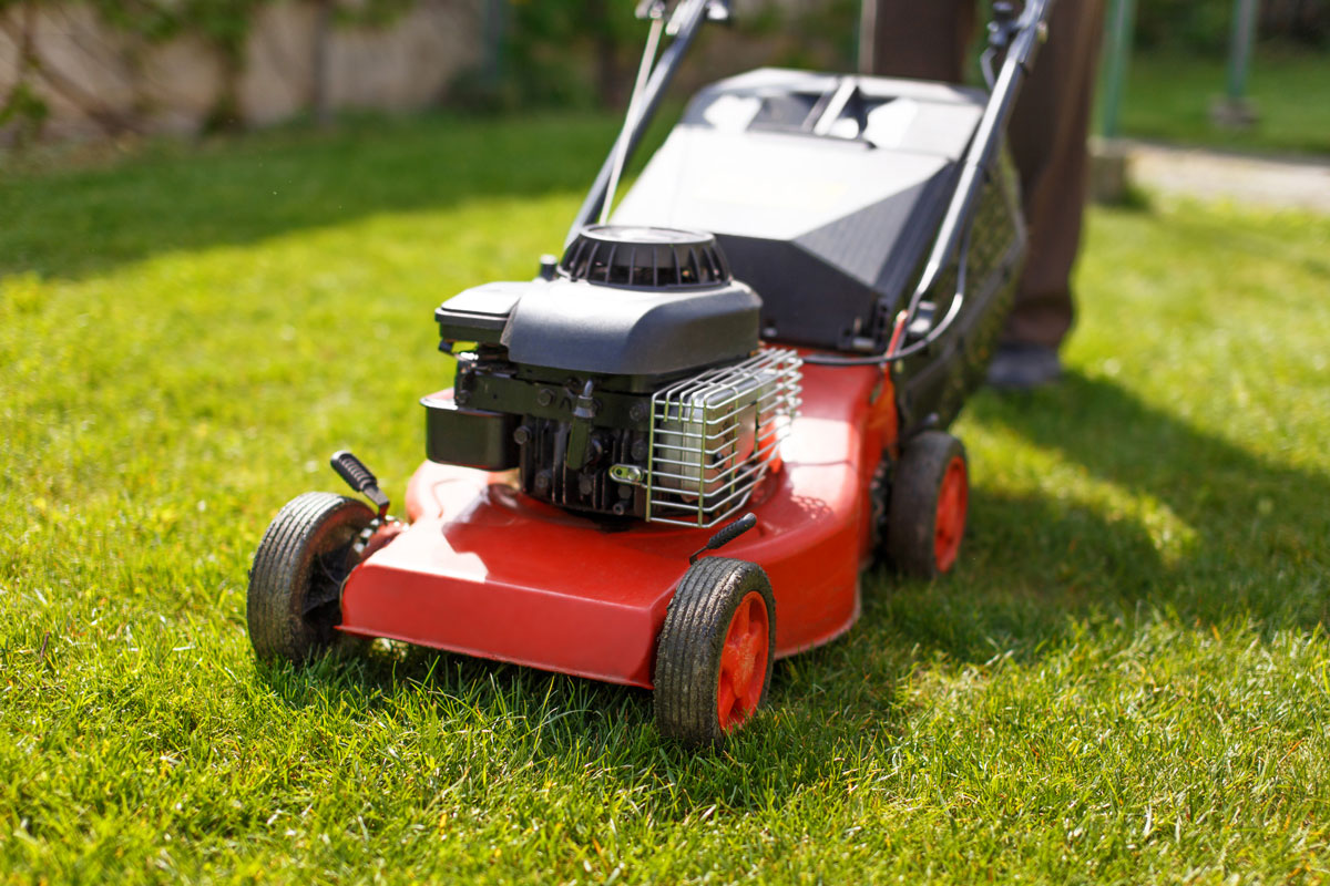 Pensioner mowing lawn with machine