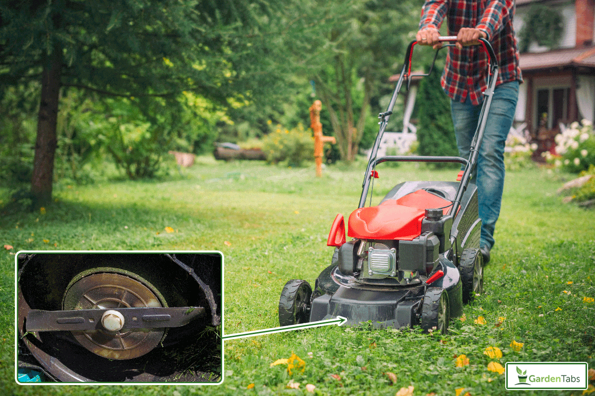 Man using a lawn mower in his back yard, Should Lawn Mower Blade Spin Freely?