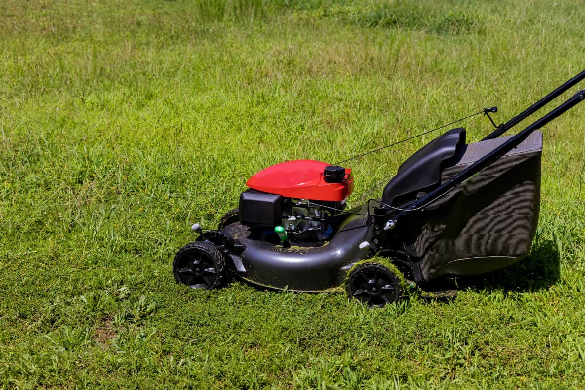 Using a lawn mower to trim the lawn