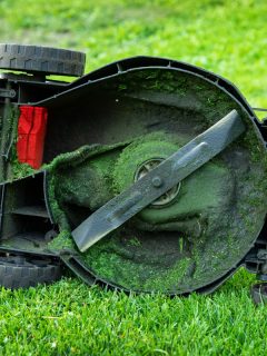 dirty electric lawn mower flipped in green grass at home, Lawn Mower Smoking And Leaking Oil - What To Do?