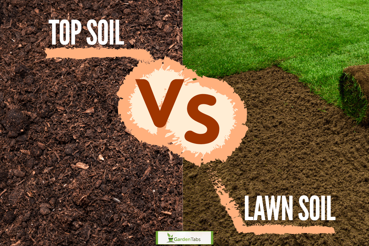 Top soil and lawn soil, Topsoil Vs. Lawn Soil: What's The Difference?