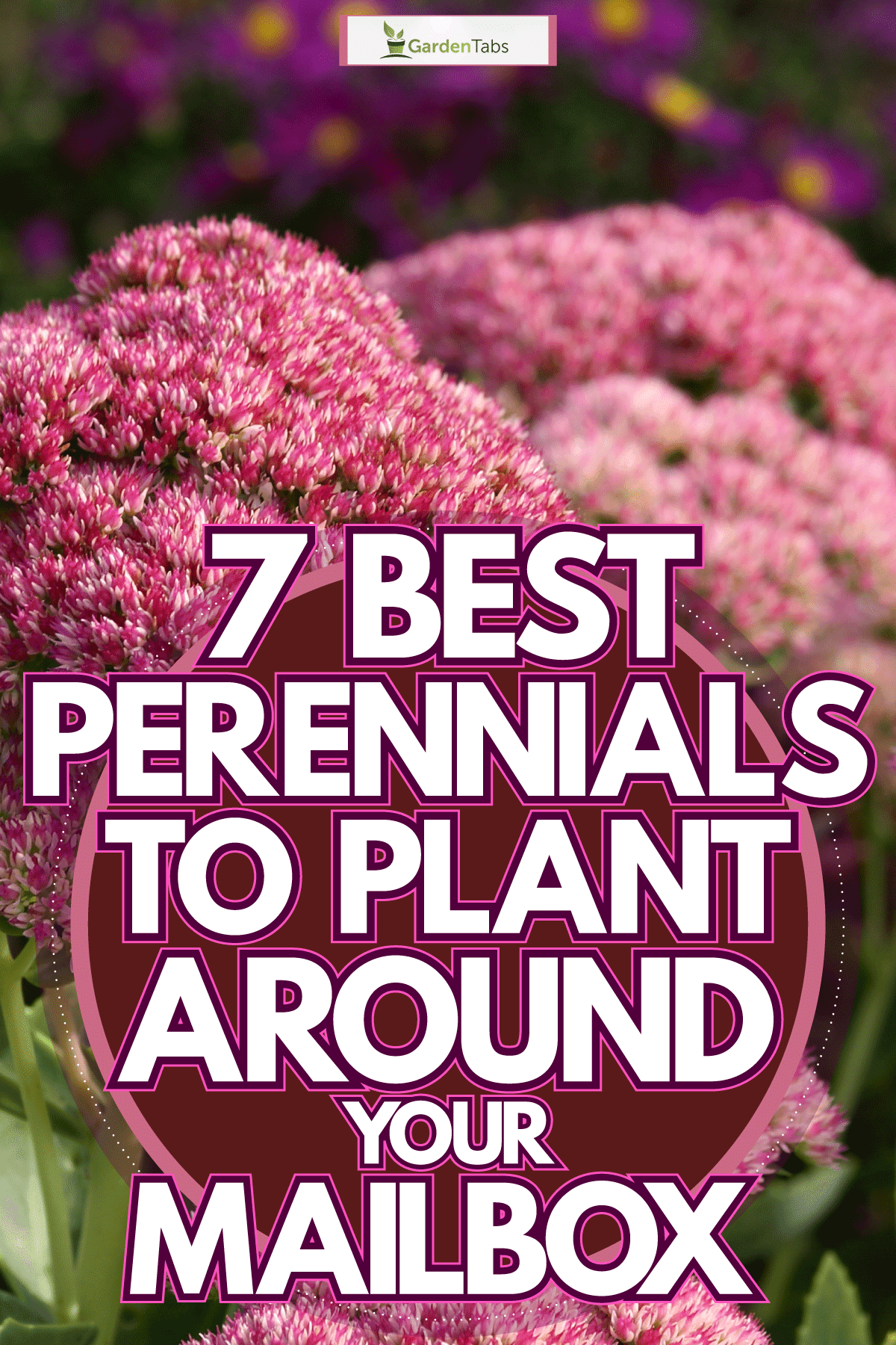 Up close photo of a perennial flower at a garden, 7 Best Perennials to Plant Around Your Mailbox