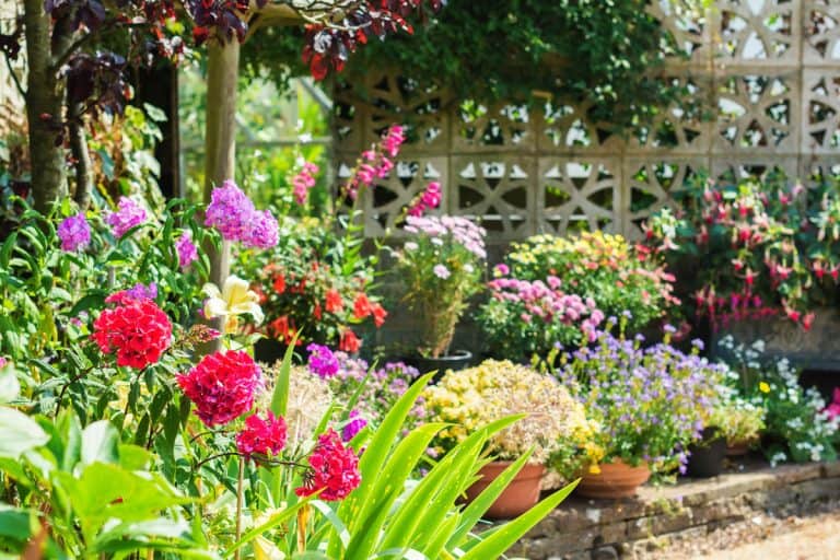 A beautiful and a bright garden filled with flowers and plants