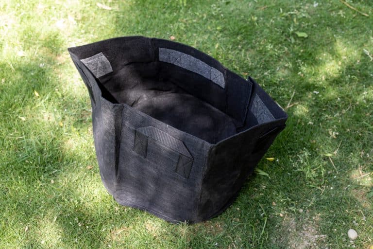 A black grow bag left on the grass, What Size Grow Bag For Cucumbers?