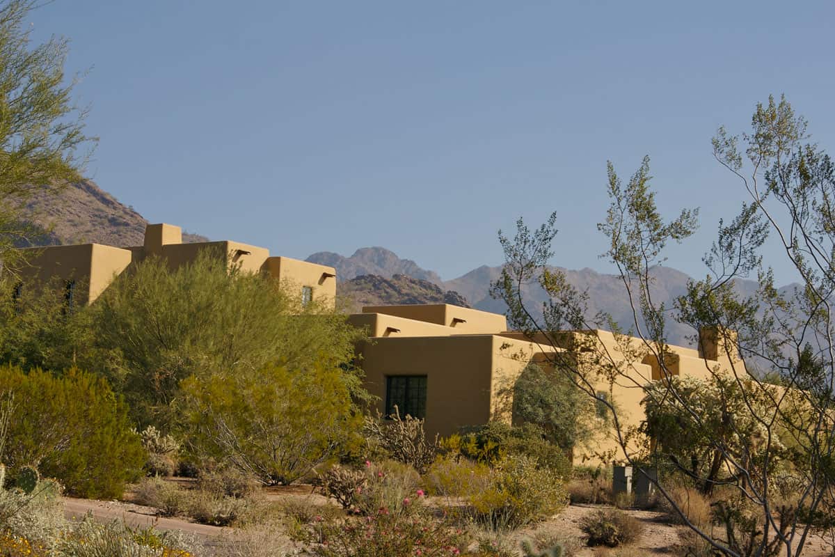 A gorgeous mansion at the dessert surrounded with mesquite trees