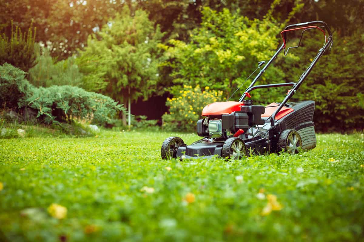 A lawn mower on the garden