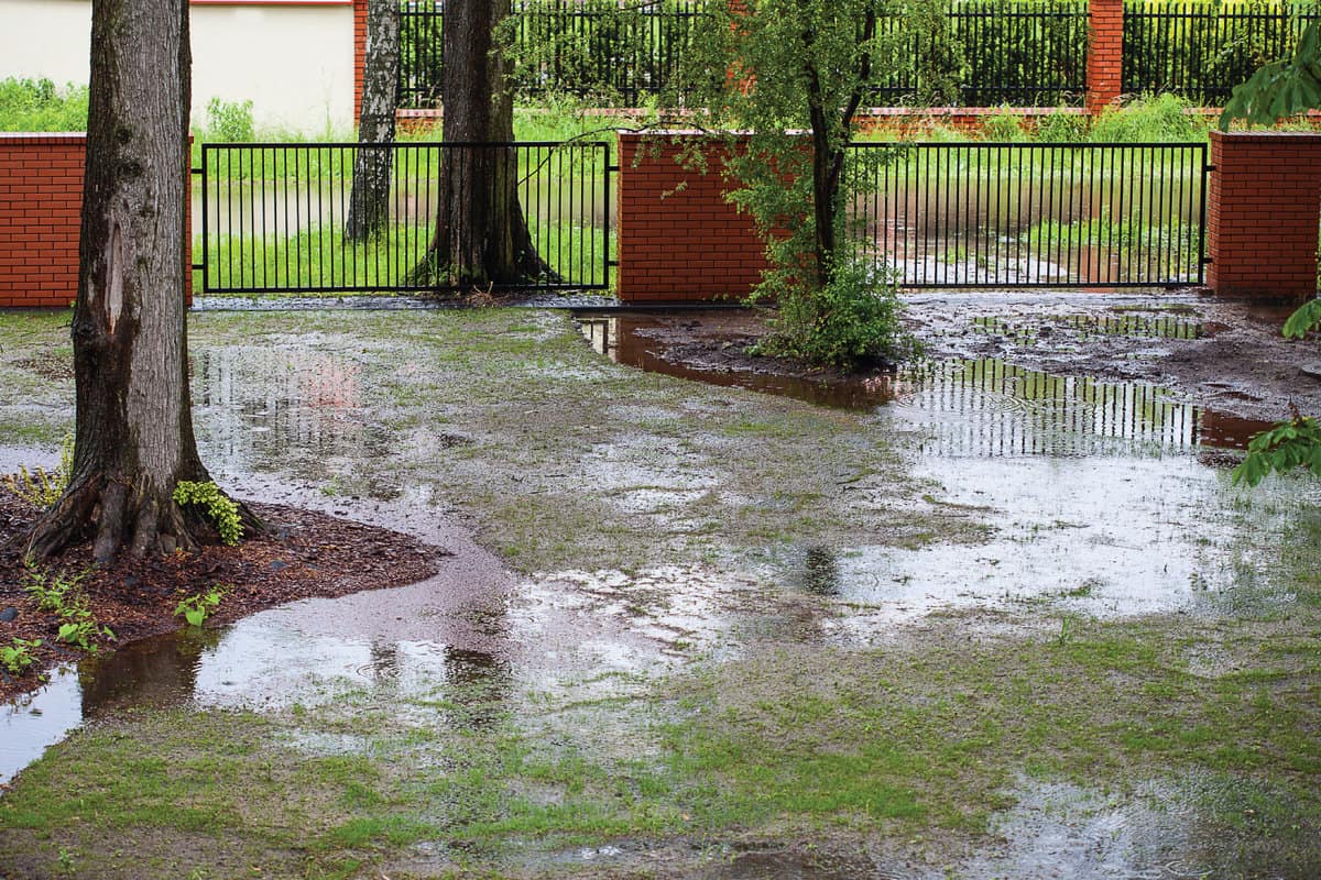 A muddy backyard with puddles after spring rain