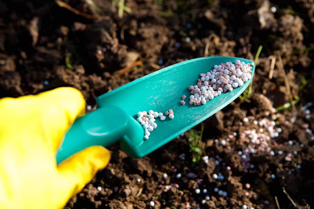A small shovel filled with fertilizer