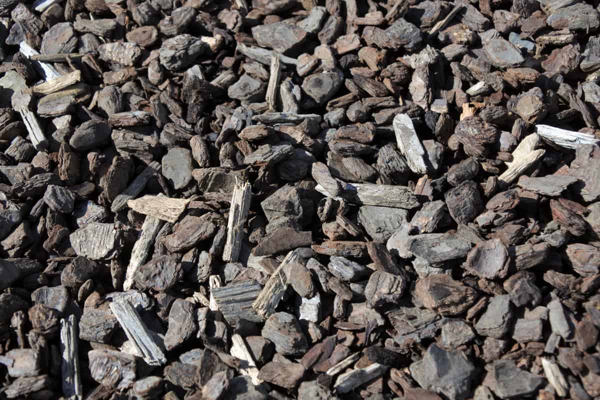 Bark-chips, dry wood chippings or composted bark garden mulch.