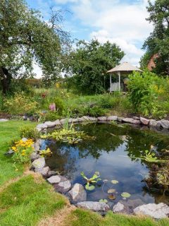 A beautiful designed garden fish pond with water-lily in a well cared backyard, What To Do With An Unwanted Pond? [7 Awesome Ideas!]