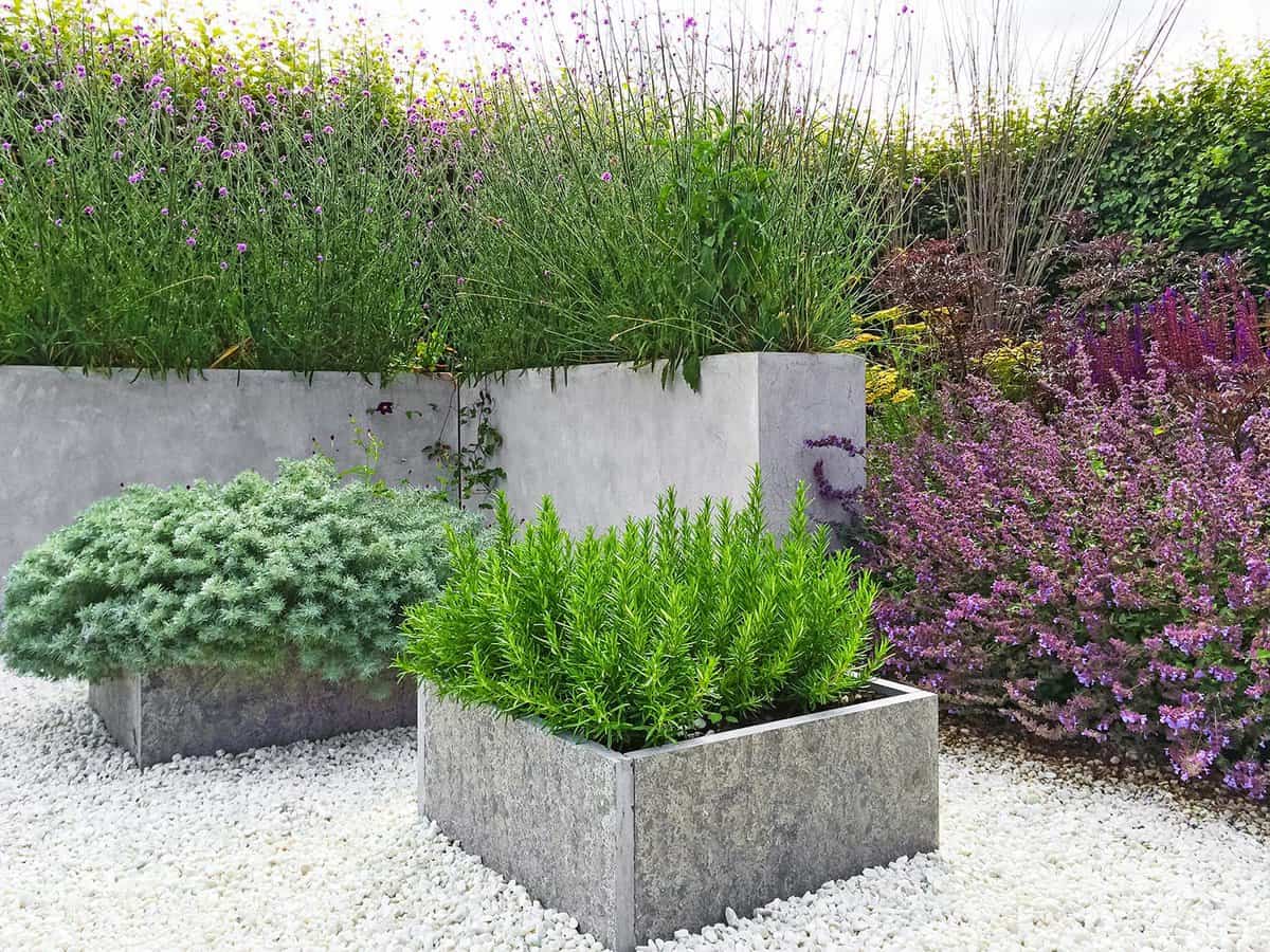 Beautiful garden with blooming plants on concrete planter