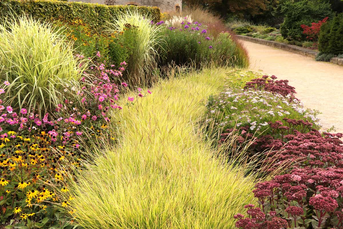 Beautiful garden with ornamental grasses and flowers.