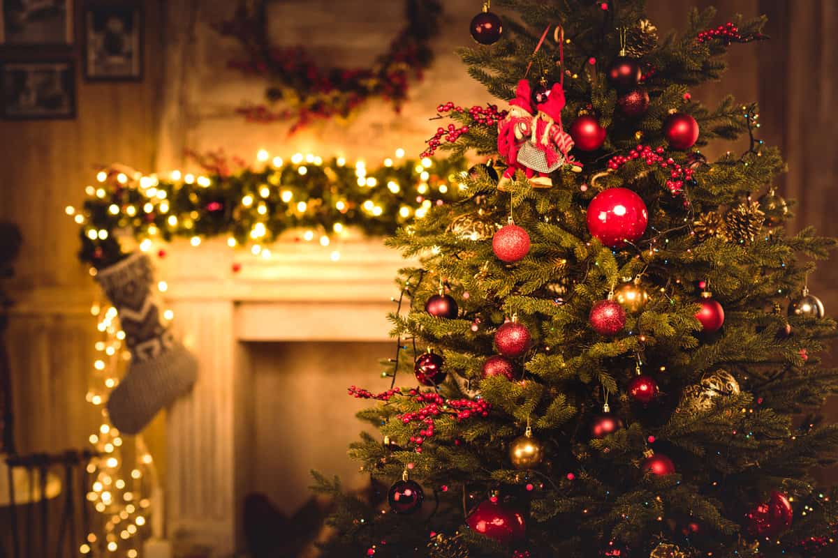 Christmas decorations hanging on fir tree — Photo