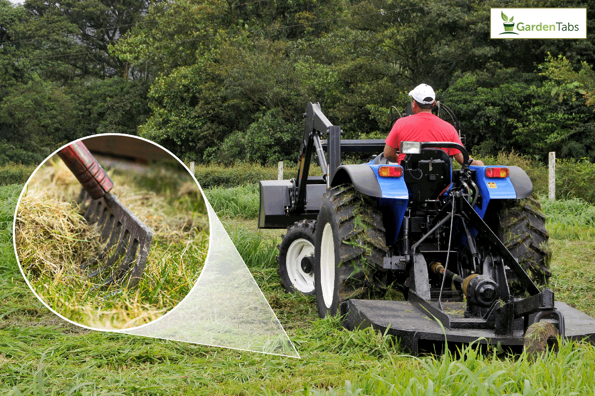 Farmer cutting grass in the field using bush hog, How To Clean Up After Brush Hogging