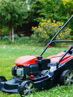 Lawn mower on green grass in back yard, How To Keep Grass From Sticking To Lawn Mower Wheels