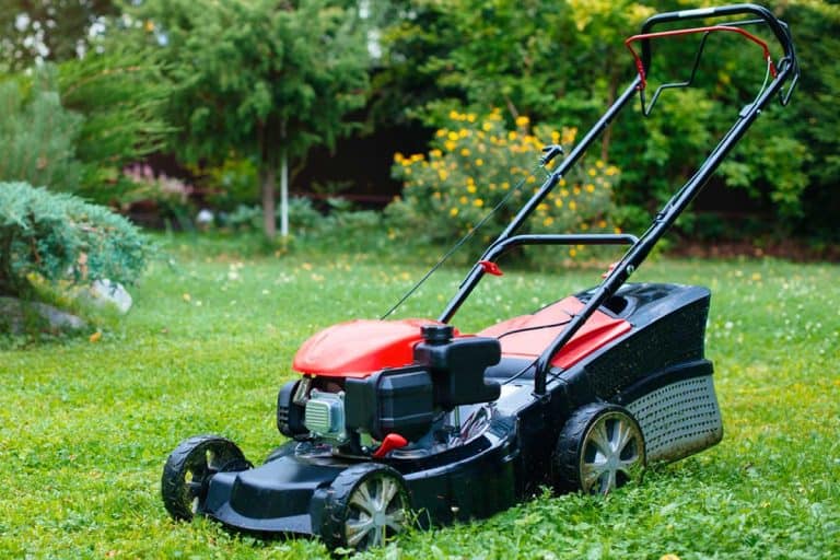 Lawn mower on green grass in back yard, How To Keep Grass From Sticking To Lawn Mower Wheels