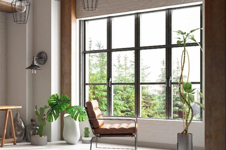 Luxury bedroom with big window and houseplants, What's The Best Window For My Houseplants?