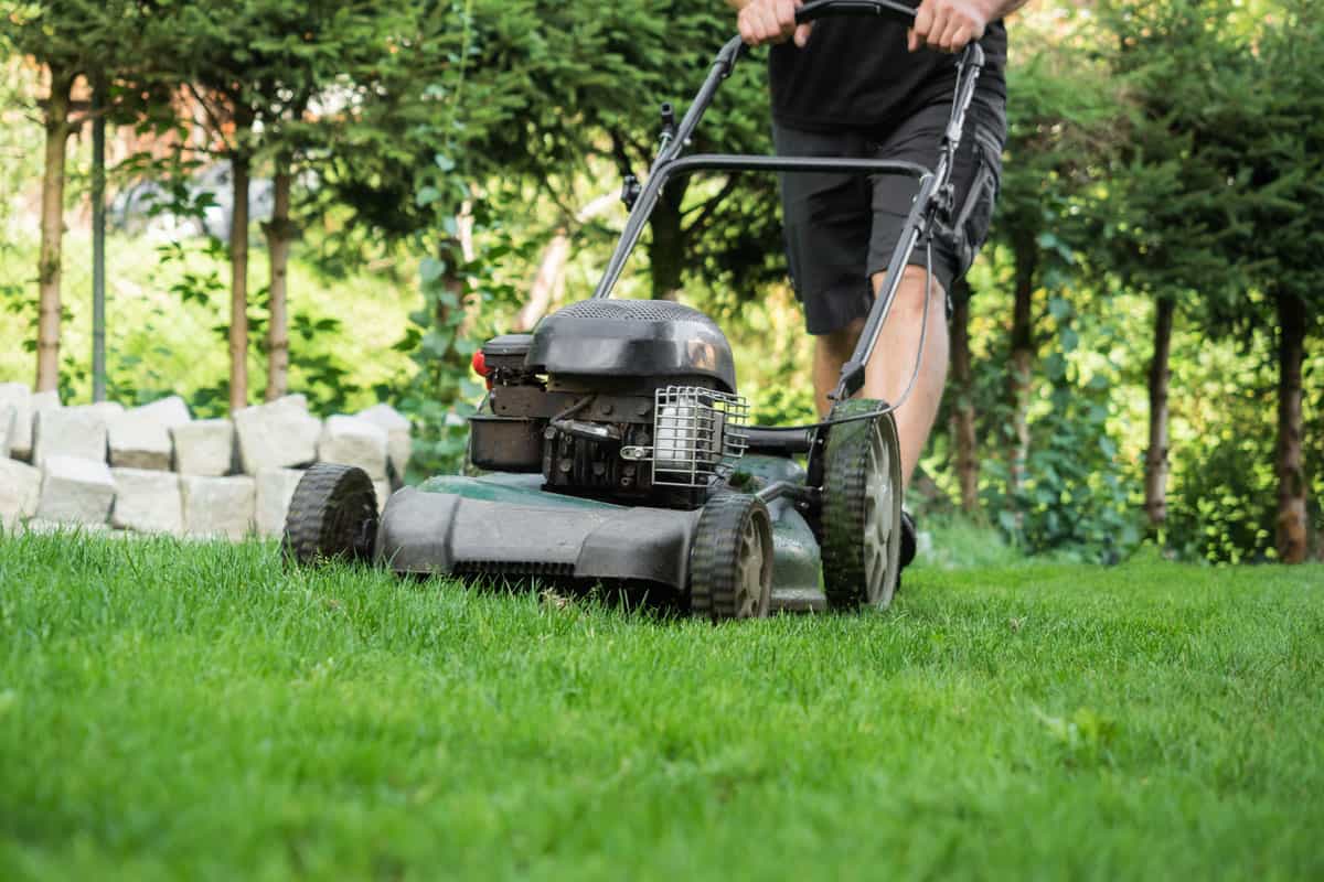 Man using his lawn mower in his garden