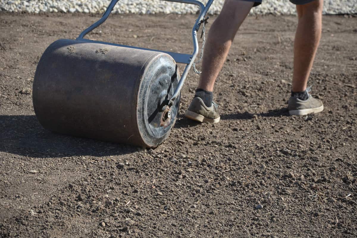 oil preparation before sowing the lawn with a soil cultivator. soil loosening, raking, sowing. the seed is repaired by rolling with a metal hand roller, which is filled with water, it will be heavier 