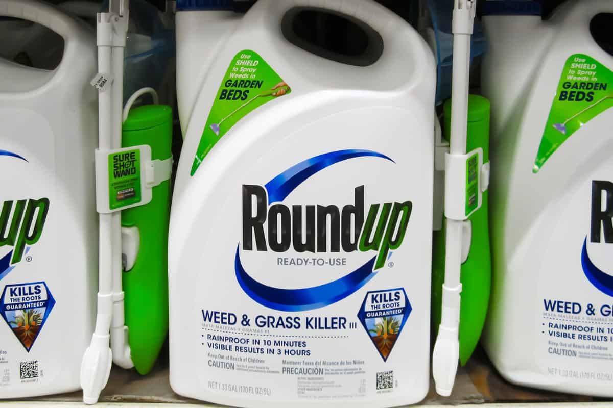  Roundup weed killer on shelf at local hardware store.