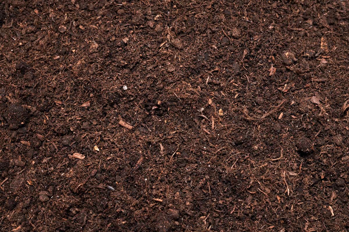 Texture of a top soil which is a fertile soil
