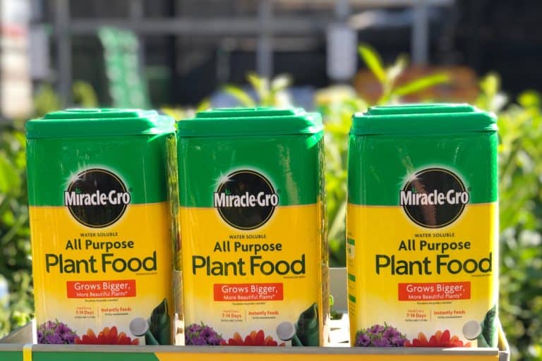Three boxes of Miracle Gro fertilizer, How Fast Does Miracle-Gro Work?