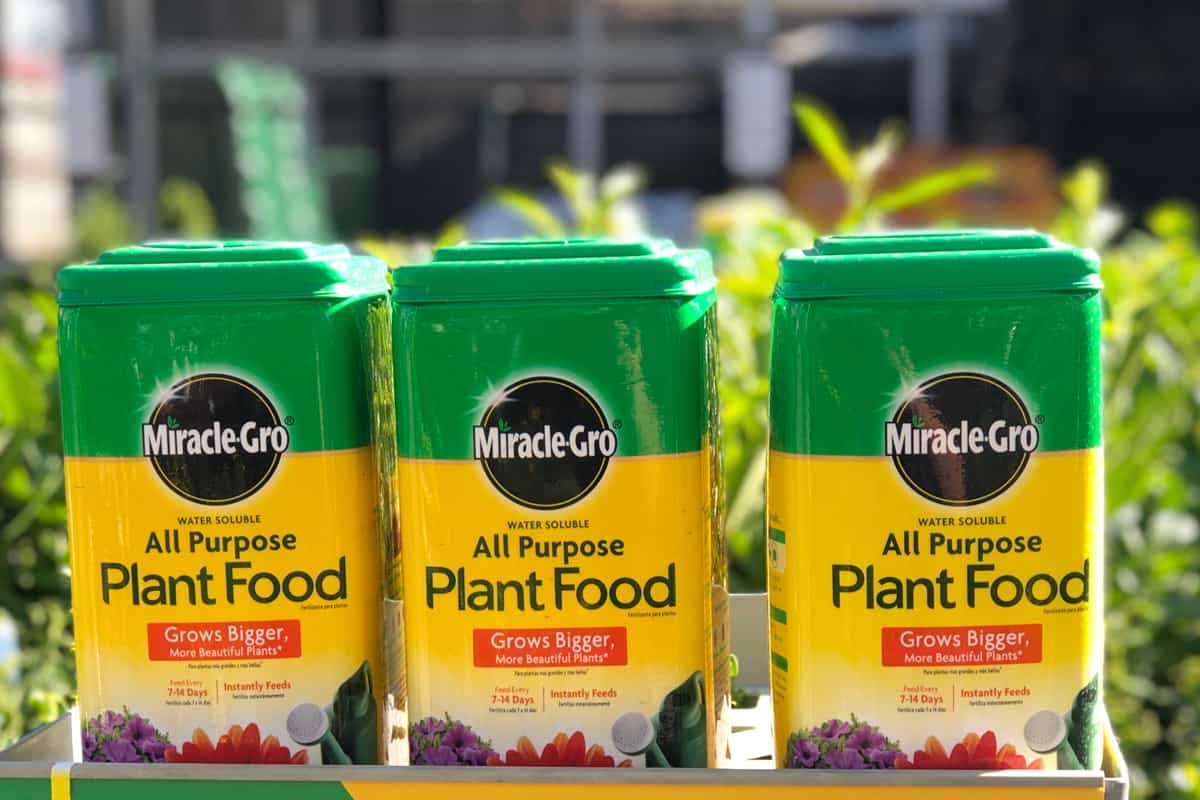 Three boxes of Miracle Gro fertilizer
