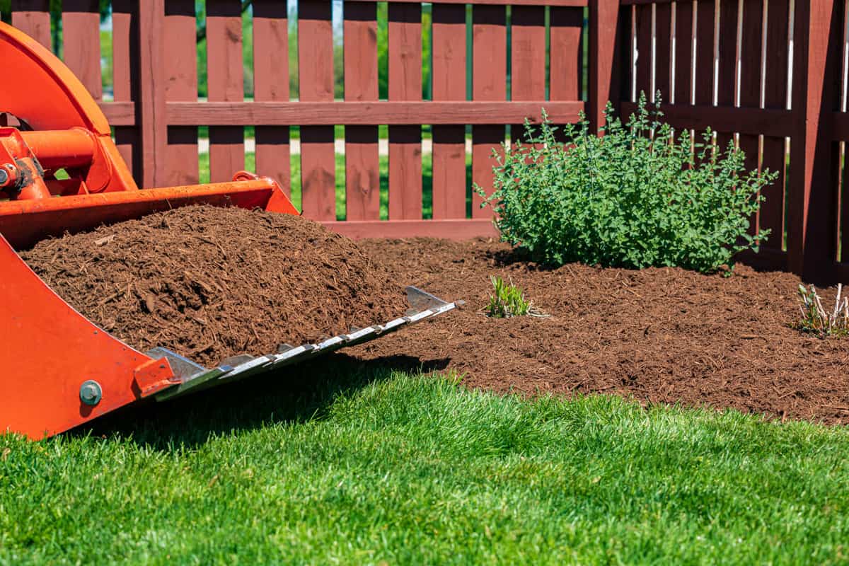 Tractor loader with wood chips or mulch and flowerbed