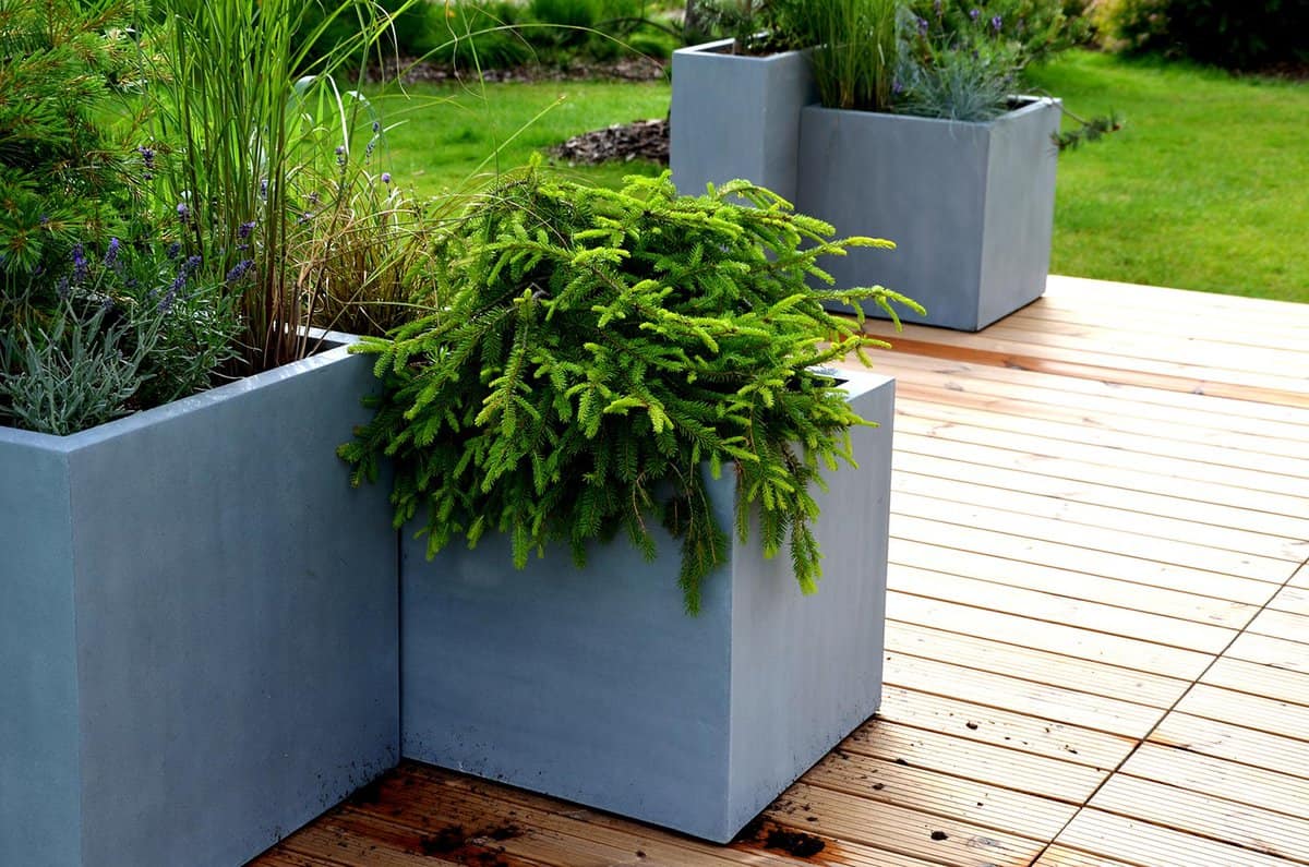 Wooden terrace on the lawn with fiberglass planter