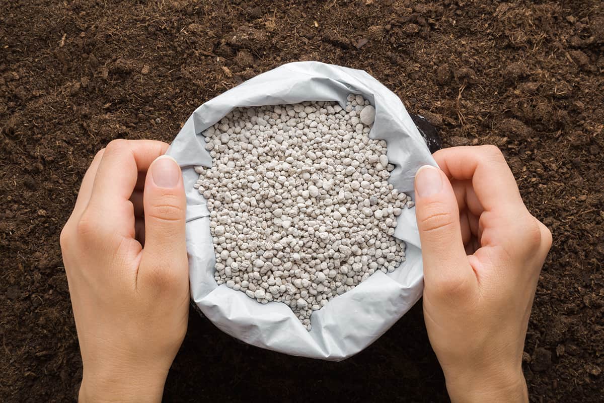 Young adult woman hands holding opened plastic bag with gray complex fertiliser granules on dark soil
