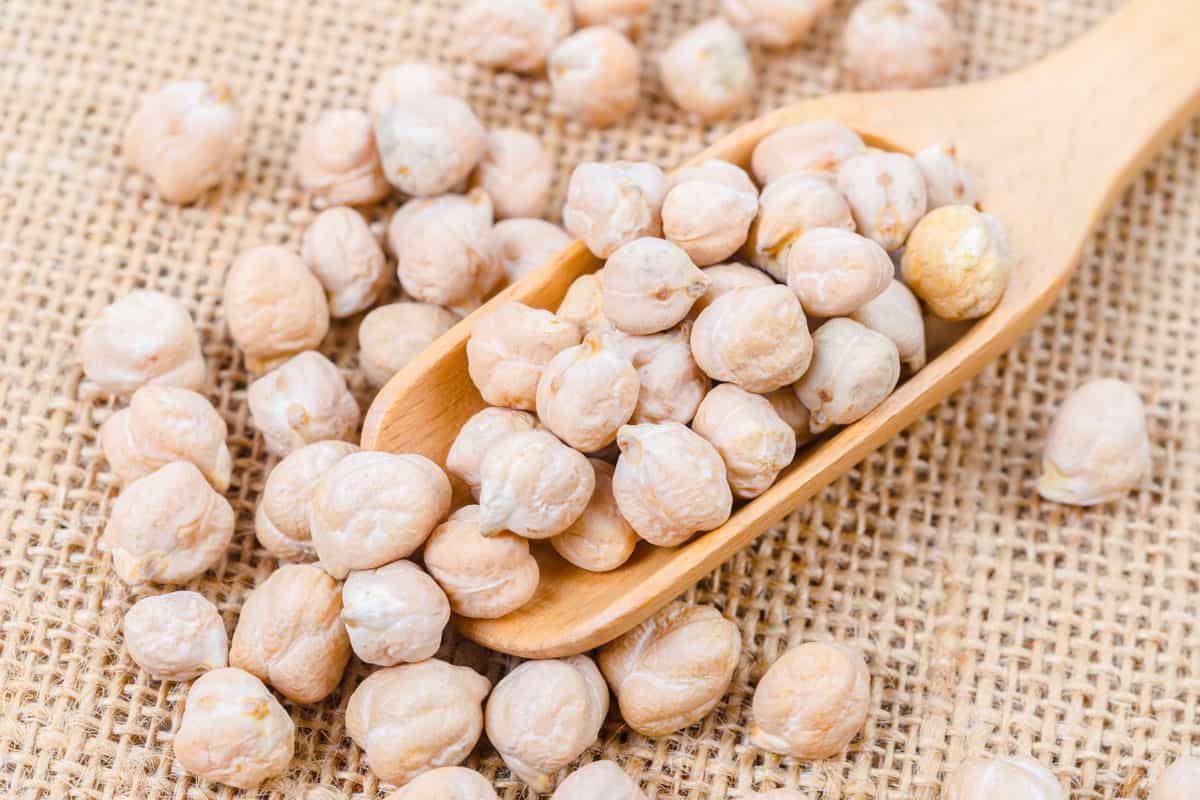 a close up photo of the uncooked chickpeas on wooden scoop