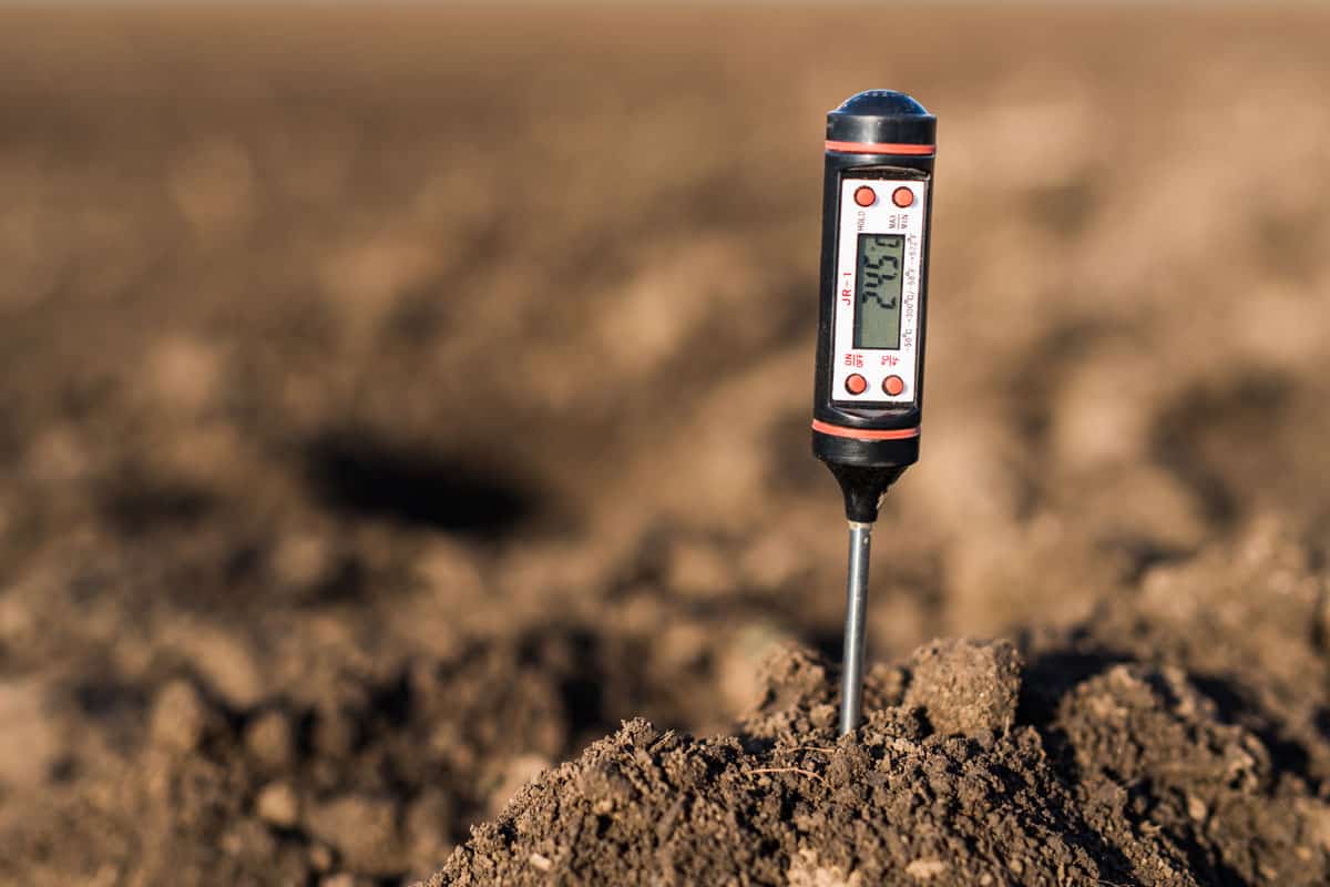 close up photo of a digital soil thermometer on a sunny day