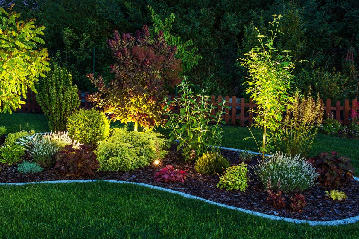 illuminated photo of a backyard garden on the evening