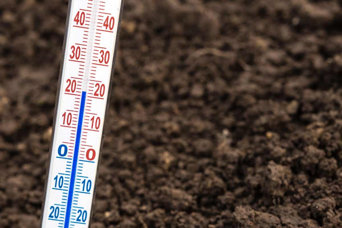 soil thermometer, healthy soil, good soil temperature