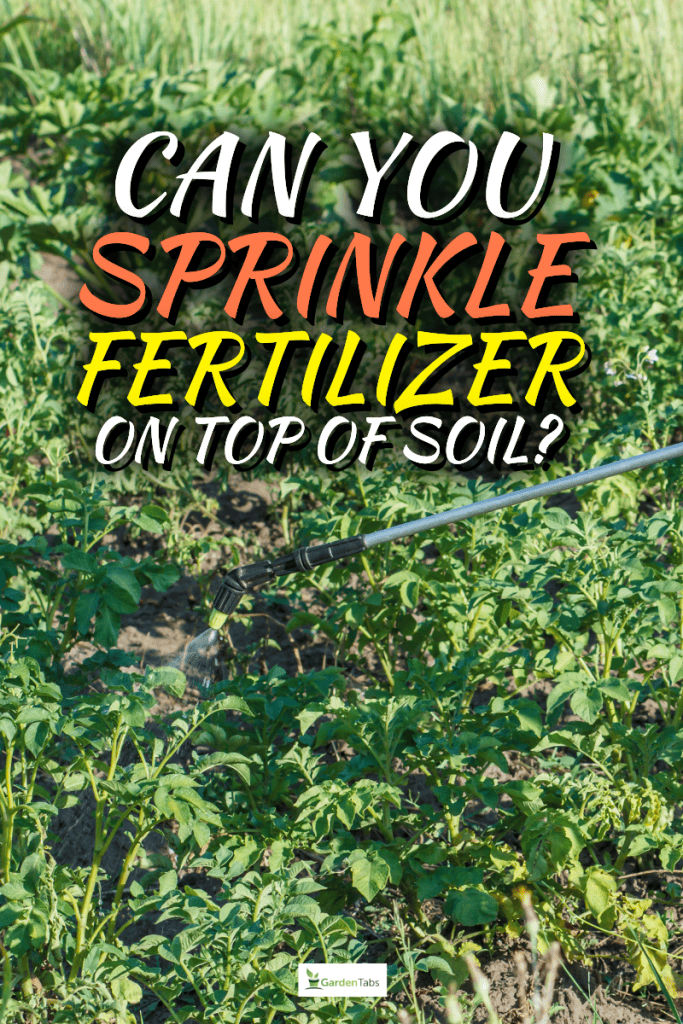 Can You Sprinkle Fertilizer On Top Of Soil